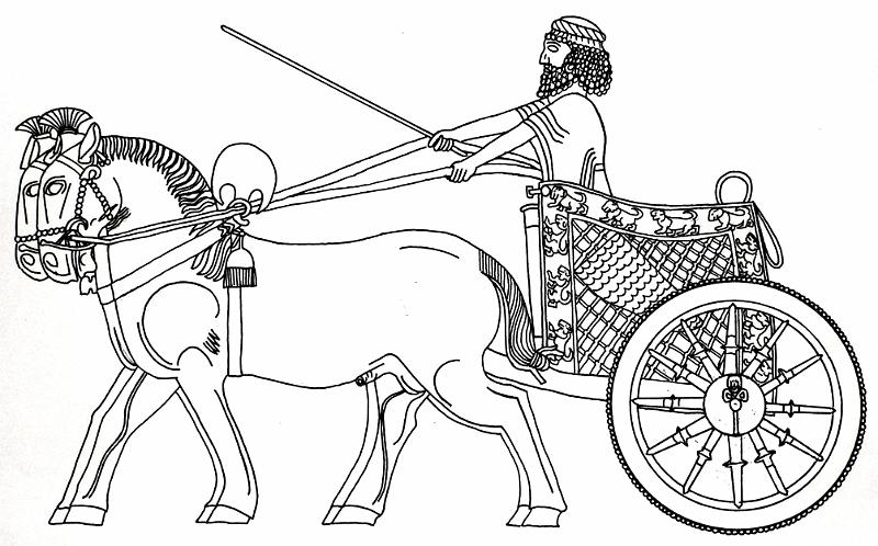 Streitwagen Großkönig (Persep).jpg - Diese nach einem Fotos G. Walsers angefertigte Zeichnung ist bisher unveröffentlicht.